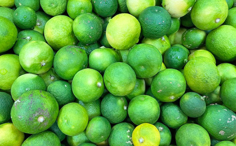 本家たかはし ポン酢 三杯酢 だし酢 セット 300ml 各1本 調味料 ドレッシング 調味料セット 調味料詰め合わせ 兵庫県 洲本市 淡路島