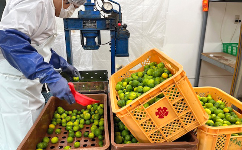 本家たかはし ポン酢 900ml 1本 調味料 すだち すだちポン酢 兵庫県 洲本市 淡路島