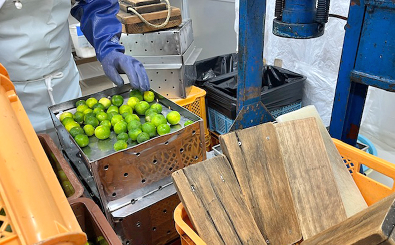 本家たかはし 本家全部 セット ポン酢 三杯酢 だし酢 300ml 各1本 乾燥玉ねぎ 乾燥薬味 まるごと深蒸し茶まるまる 詰め合わせ 調味料 ドレッシング 調味料セット 調味料詰め合わせ 兵庫県 洲本市 淡路島
