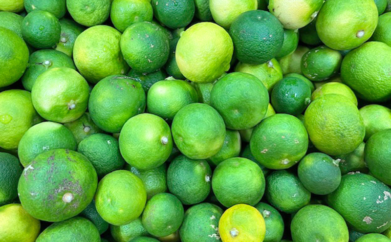 本家たかはし 本家全部 セット ポン酢 三杯酢 だし酢 300ml 各1本 乾燥玉ねぎ 乾燥薬味 まるごと深蒸し茶まるまる 詰め合わせ 調味料 ドレッシング 調味料セット 調味料詰め合わせ 兵庫県 洲本市 淡路島