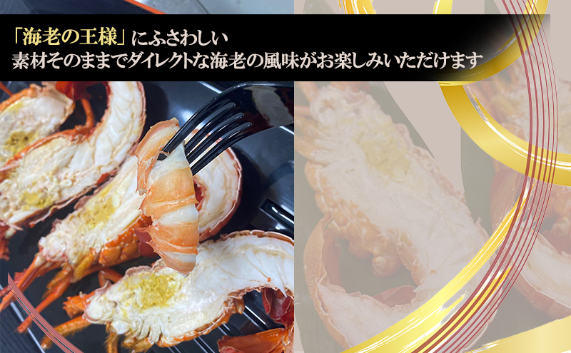 ボイル いせえび 2尾 カット済み 淡路島由良産 エビ カット 魚介類 海鮮 兵庫県 洲本市 淡路島