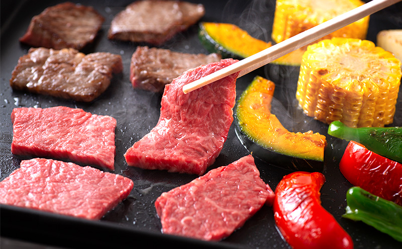 淡路牛 ロース 焼肉用 約500g入 牛ロース 焼き肉 国産 牛肉 和牛 兵庫県 洲本市 淡路島