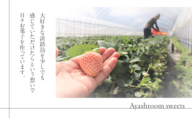 白いちごのベイクドチーズケーキ デザート ケーキ チーズケーキ スイーツ 兵庫県 洲本市 淡路島