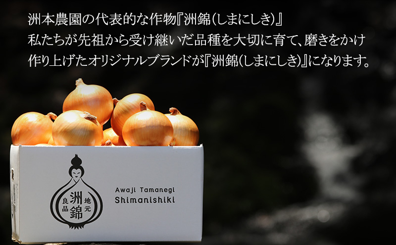 予約受付 10kg 新玉ねぎ オリジナルブランド 洲錦 (しまにしき) 商標登録商品 玉ねぎ タマネギ 野菜 旬の野菜 季節の野菜 兵庫県 洲本市 淡路島