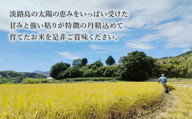 天日干し コシヒカリ 10kg 米 お米 精米 白米 兵庫県 洲本市 淡路島