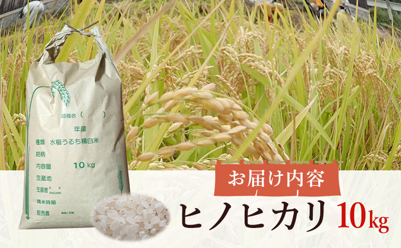 ヒノヒカリ 10kg 米 お米 精米 白米 兵庫県 洲本市 淡路島