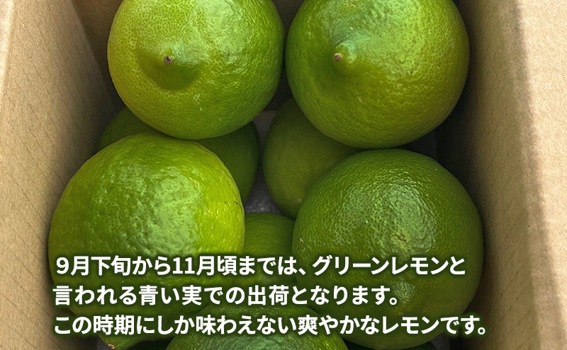 淡路島 アレンユーレカレモン 1kg 檸檬 れもん 果物 フルーツ 季節の果物 兵庫県 洲本市 淡路島
