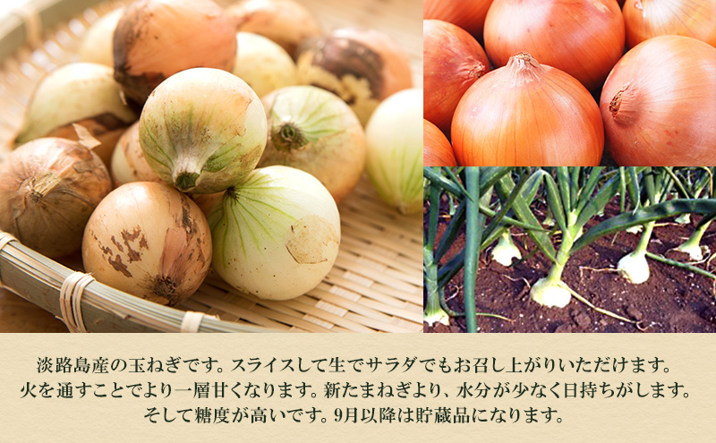 淡路島産 玉ねぎ 8kg たまねぎ タマネギ 甘い 野菜 旬の野菜 季節の野菜 兵庫県 洲本市 淡路島