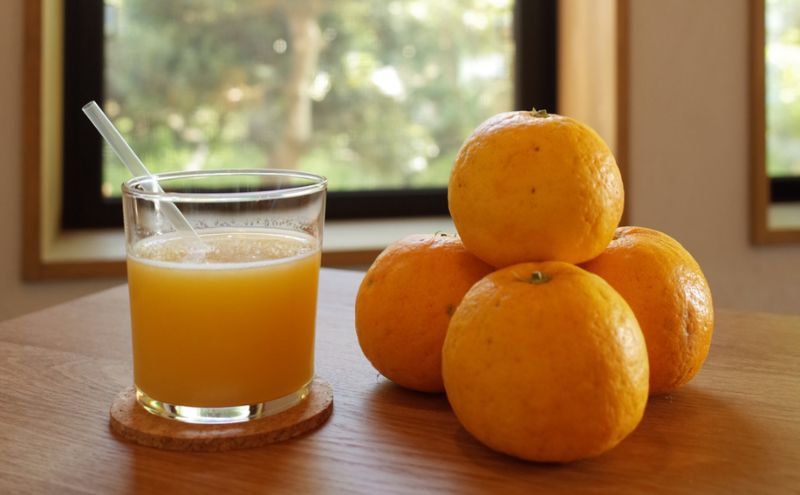 淡路島 なるとオレンジ 100% ジュウース 2本 セット オレンジ ジュース オレンジジュース 100％ジュース フルーツ 兵庫県 洲本市