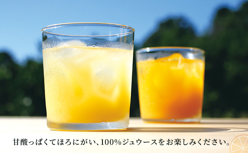 淡路島 なるとオレンジ 100% ジュウース 2本 セット オレンジ ジュース オレンジジュース 100％ジュース フルーツ 兵庫県 洲本市