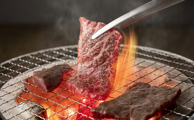 淡路ビーフ 焼肉用 500g 250g × 2p 肉 お肉 牛肉 焼肉 BBQ 兵庫県 洲本市 淡路島