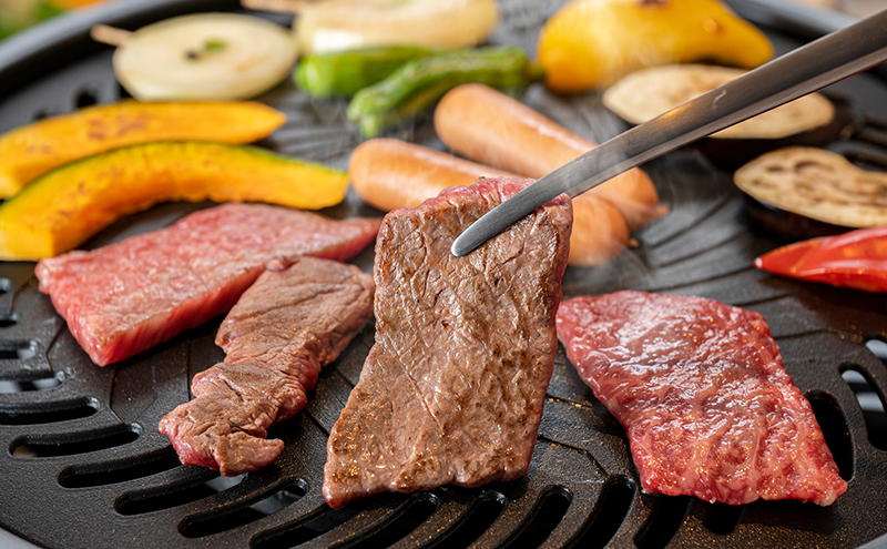 神戸ビーフ 焼肉用 カタロース肉 500g 肉 牛肉 和牛 神戸牛 国産 霜降り 肩ロース 焼肉 兵庫県 洲本市 淡路島