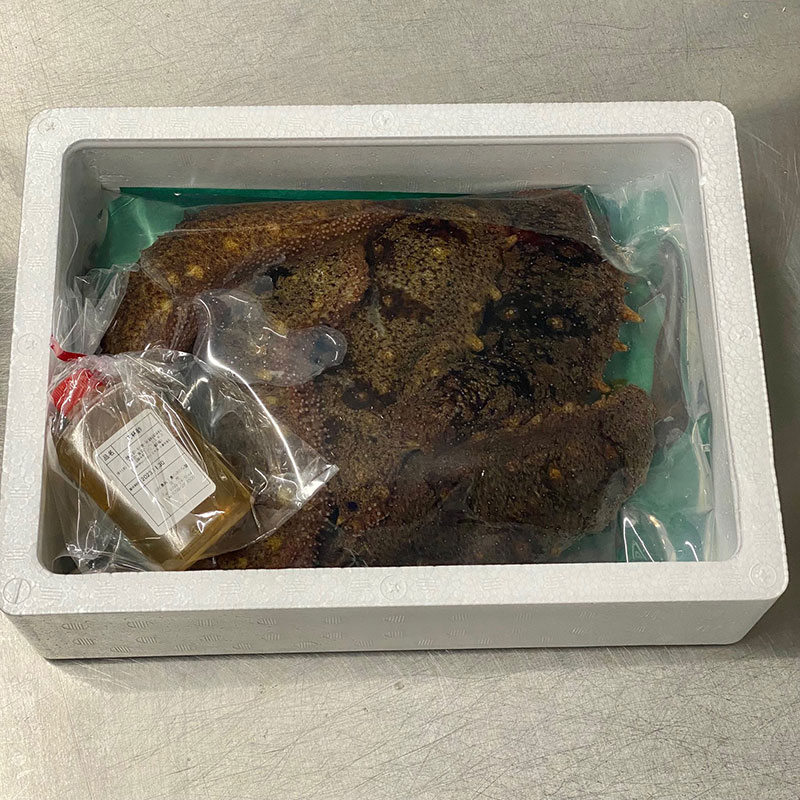 淡路島産 活 赤なまこ 2～7個入り1kg なまこ ナマコ 生食用 兵庫県 洲本市 淡路島