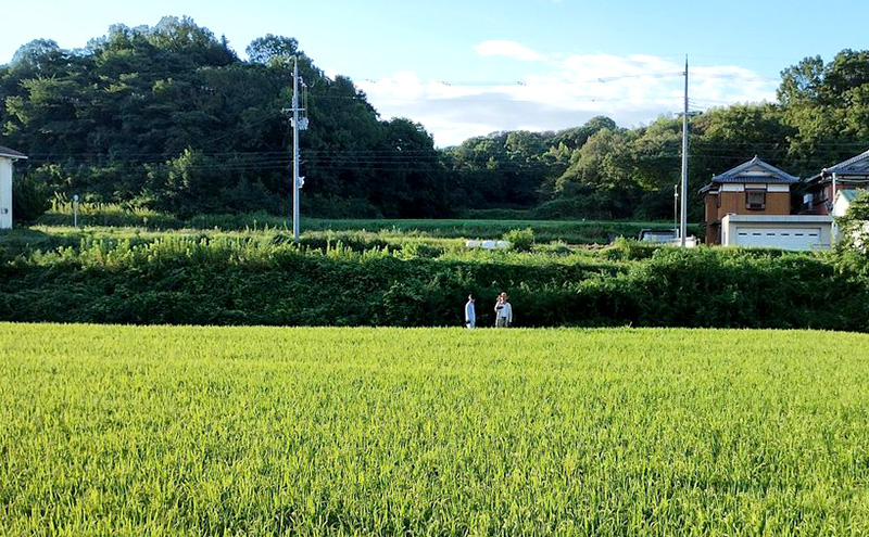 令和7年度産 淡路島 ど真ん中米 ヒノヒカリ 10kg 米 精米 精白米 鮎原米 兵庫県 洲本市 淡路島