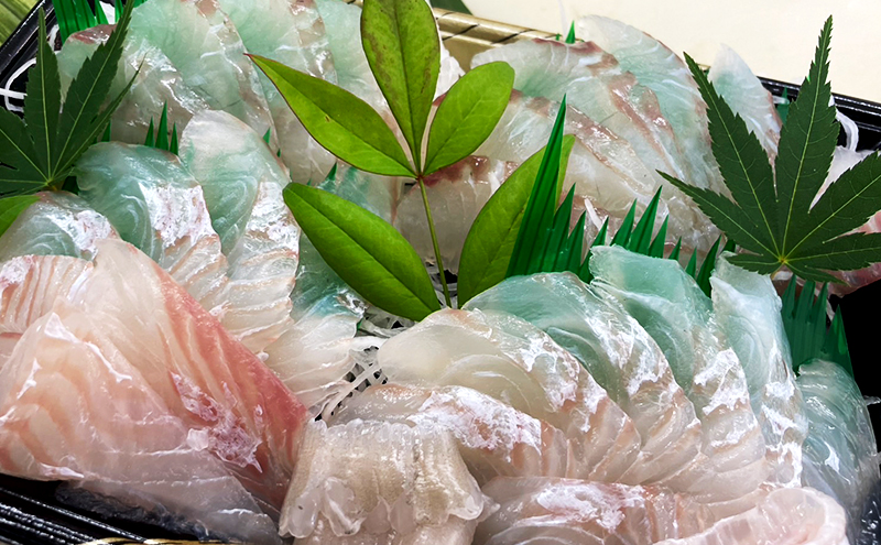 淡路島産 天然 ヒラメの造りとショウサイフグの鍋用切り身 ヒラメ ふぐ お造り 鍋 魚介類 兵庫県 洲本市 淡路島