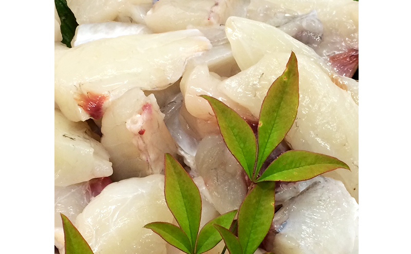 淡路島産 天然 ヒラメの造りとショウサイフグの鍋用切り身 ヒラメ ふぐ お造り 鍋 魚介類 兵庫県 洲本市 淡路島