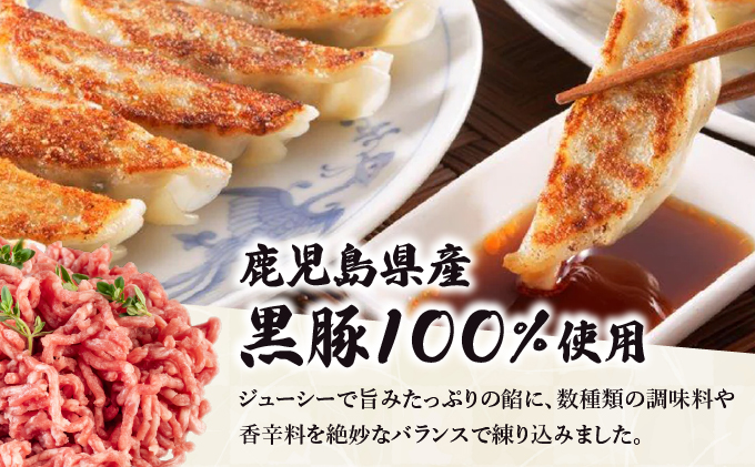 四川山椒が香る マーボー餃子セット｜40個 餃子 ぎょうざ ギョーザ 中華 点心 惣菜 簡単 おうち おかず おつまみ 豚肉 ジューシー 肉汁 冷凍 イトー屋 お取り寄せ ギフト お中元 お歳暮 037-a029