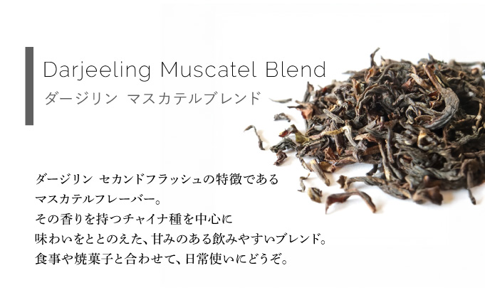 定番人気 ティーバック3種 缶入りギフトセット【Uf-fu ウーフ】紅茶 茶葉 人気 ダージリン マスカテルブレンド アールグレイ アンバー 紅茶セット ストレートティー ミルクティー アイスティー ティータイム スペシャルティー 詰め合わせ 贈り物 ギフト プレゼント 038-a019 3缶 《ギフト対応》