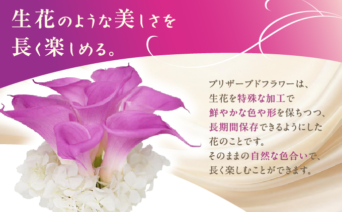 プリザーブドフラワー ギフト ローズルージュ 【花 フラワー 天然 国産 ギフト プレゼント 記念日 水かえ不要 枯れない プリザーブドフラワー】[073-a017]
