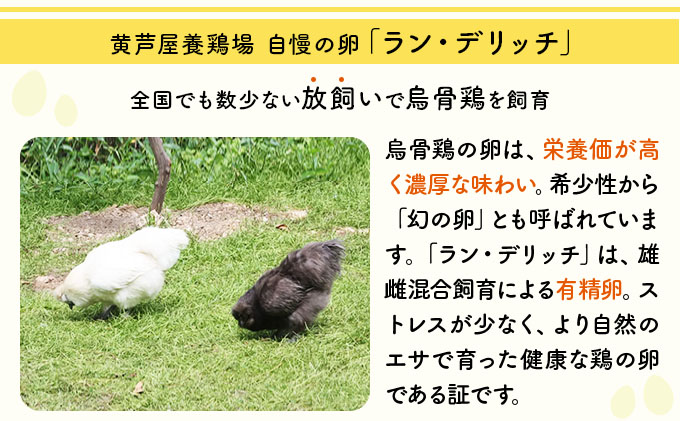 兵庫県芦屋産 放飼い烏骨鶏の有精卵『ラン・デリッチ』 | 6個入 卵 たまご 烏骨鶏 新鮮 産直 卵詰め合わせ 卵セット 高級卵 玉子 放飼い