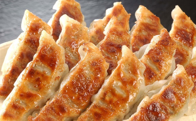 【兵庫県芦屋市】【ふるさと納税】黒豚餃子2折セット【冷凍 ぎょうざ ギョ－ザ 中華 点心 惣菜 ギフト お中元 お歳暮】熨斗なし[037-a005_01]