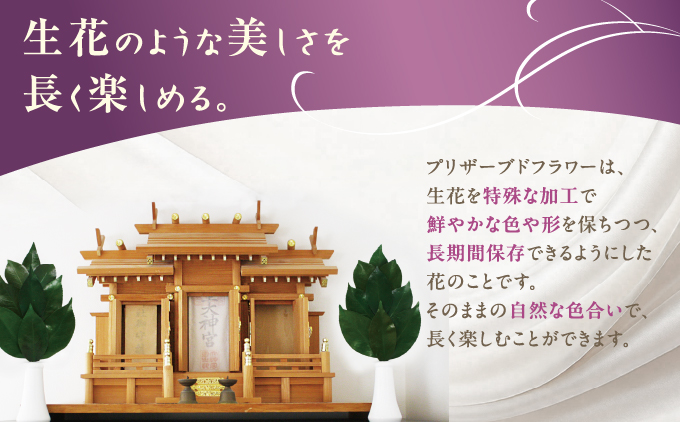 プリザーブド 榊 Sサイズ（1対 2束）【天然 国産 サカキ 神棚 神具 祭壇 玉串 神事 仏壇 仏花 お供え お墓 お盆 お彼岸 新盆 祭 水かえ不要 枯れない プリザーブドフラワー】