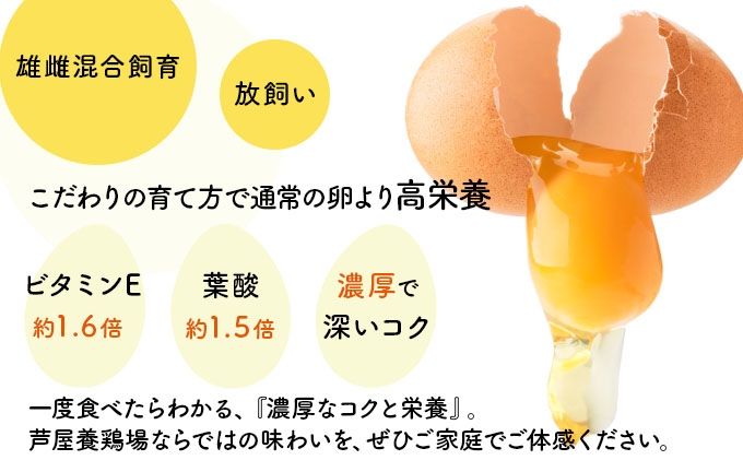 兵庫県芦屋産 放飼い烏骨鶏の有精卵『ラン・デリッチ』 | 6個入 卵 たまご 烏骨鶏 新鮮 産直 卵詰め合わせ 卵セット 高級卵 玉子 放飼い