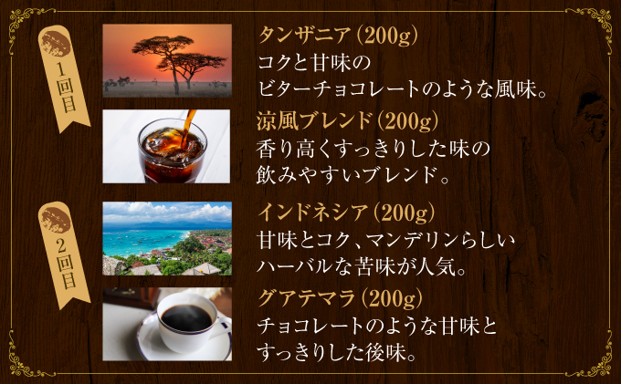 【6か月定期便】世界流通量上位5％スペシャルティコーヒー【豆】[011-t6-a002]