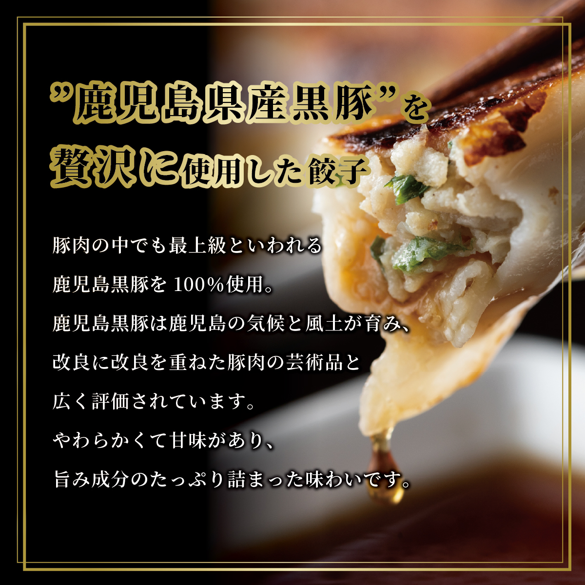 【兵庫県芦屋市】【ふるさと納税】黒豚餃子2折セット【冷凍 ぎょうざ ギョ－ザ 中華 点心 惣菜 ギフト お中元 お歳暮】熨斗なし[037-a005_01]