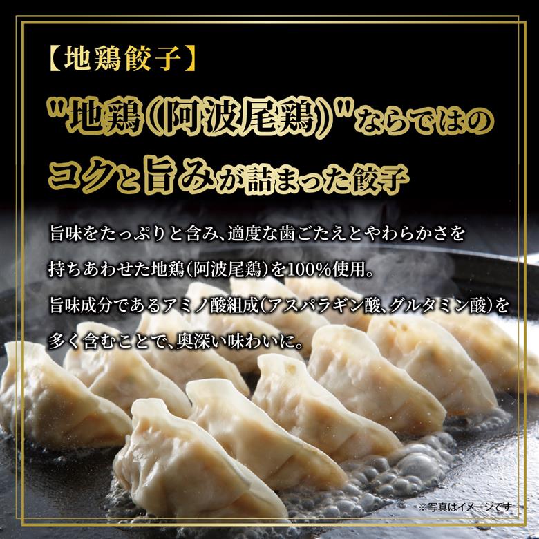 【兵庫県芦屋市】【ふるさと納税】黒豚餃子・地鶏餃子 各1折セット【冷凍 ぎょうざ ギョ－ザ 中華 点心 惣菜 ギフト お中元 お歳暮】熨斗なし[037-a006_01]