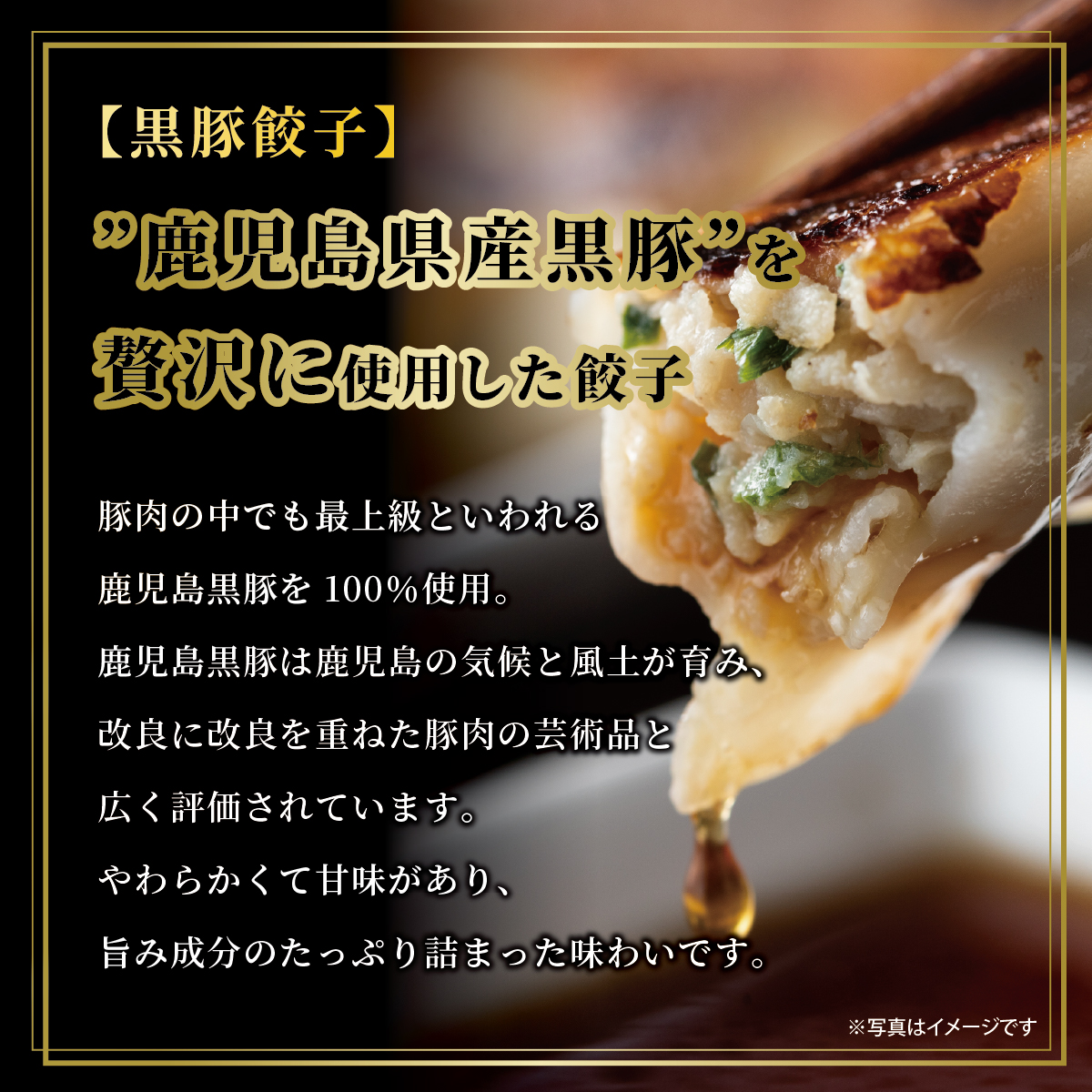 【兵庫県芦屋市】【ふるさと納税】黒豚餃子・九条ねぎ餃子 各1折セット【冷凍 ぎょうざ ギョ－ザ 中華 点心 惣菜 ギフト お中元 お歳暮】熨斗なし[037-a013_01]