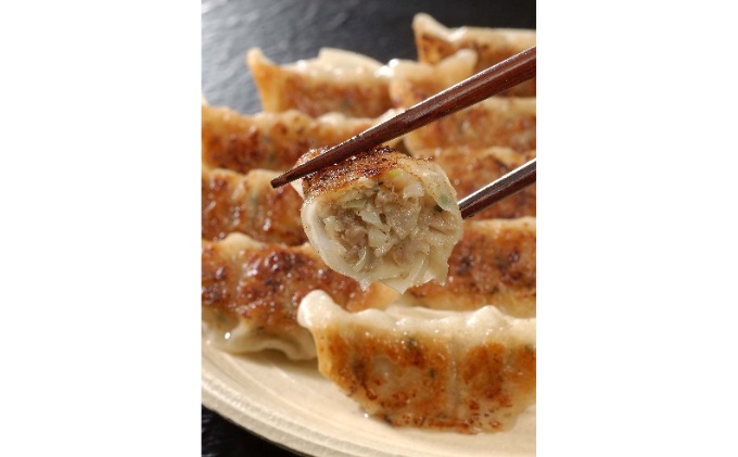 【兵庫県芦屋市】【ふるさと納税】黒豚餃子2折セット【冷凍 ぎょうざ ギョ－ザ 中華 点心 惣菜 ギフト お中元 お歳暮】熨斗なし[037-a005_01]