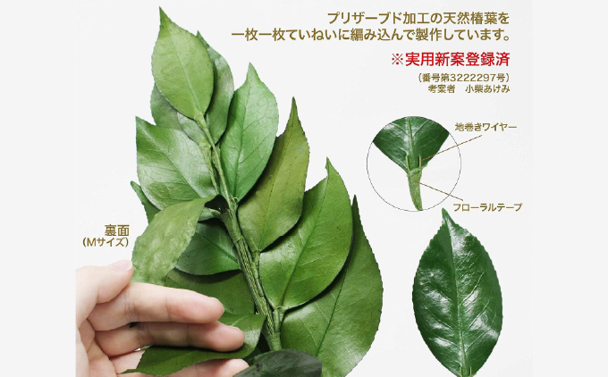 プリザーブド 榊 Mサイズ（1対 2束）【天然 国産 サカキ 神棚 神具 祭壇 玉串 神事 仏壇 仏花 お供え お墓 お盆 お彼岸 新盆 祭 水かえ不要 枯れない プリザーブドフラワー】
