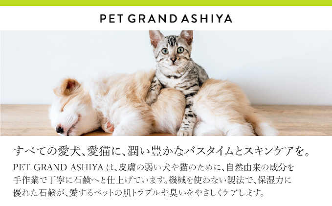 arfoam（ｱﾙﾌｫｰﾑ）300ml｜肉球洗浄 肉球 耳洗浄 耳掃除 ケア 犬の ケア用品 ペット 犬 猫 ペット用 犬用 愛犬用 洗浄 国内製造 泡 泡シャンプー お散歩後 舐めても安心 日本製 国産 074-a001