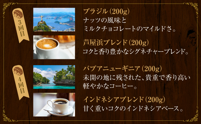 【6か月定期便】世界流通量上位5％スペシャルティコーヒー【粉】[011-t6-a004]