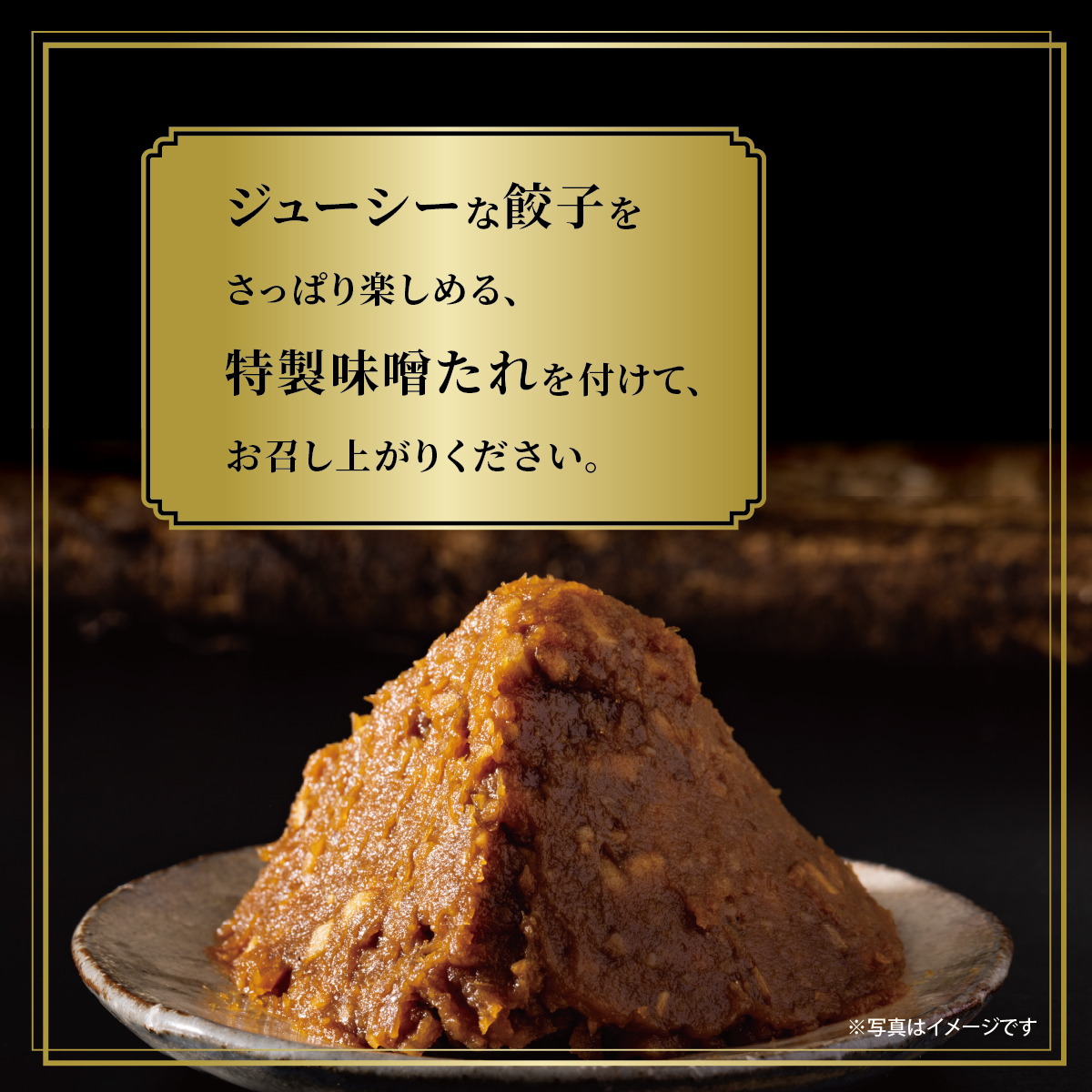 【兵庫県芦屋市】【ふるさと納税】黒豚餃子2折セット【冷凍 ぎょうざ ギョ－ザ 中華 点心 惣菜 ギフト お中元 お歳暮】熨斗なし[037-a005_01]