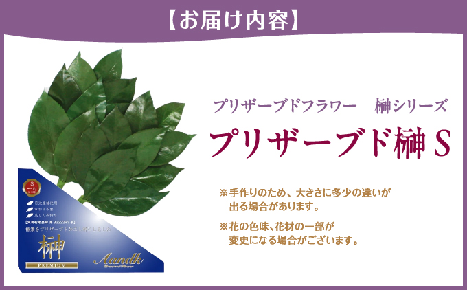 プリザーブド 榊 Sサイズ（1対 2束）【天然 国産 サカキ 神棚 神具 祭壇 玉串 神事 仏壇 仏花 お供え お墓 お盆 お彼岸 新盆 祭 水かえ不要 枯れない プリザーブドフラワー】