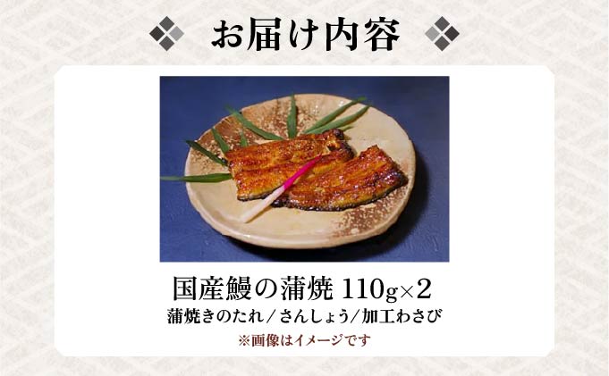 江戸焼きうなぎセットA　国産鰻の蒲焼　110g×2[027-a001]