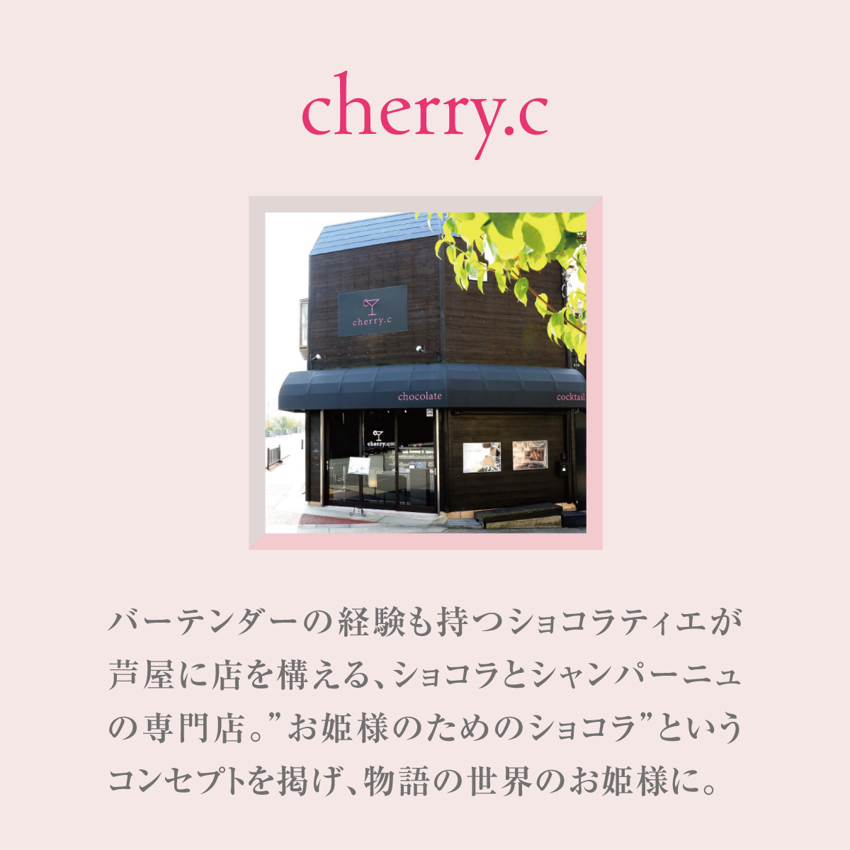 プレミアム ショコラ アソート15個×3【cherry.c】お菓子 洋菓子 贈り物 ギフト 手土産 詰め合わせ チョコレート チョコ ショコラ スイーツ ベルギー ビター バレンタイン ホワイトデー [024-a006_A]
