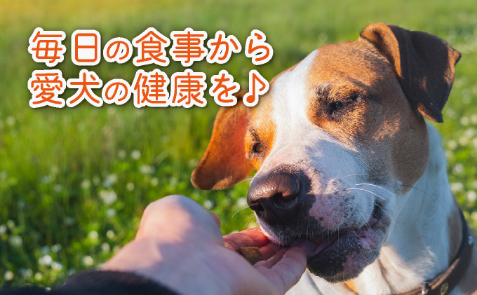 フルオーガニックドッグフード＆おやつ3袋 / お試しセット｜ペットフード ドッグフード 犬用 愛犬用 ごはん 天然素材 小麦粉不使用 グルテンフリー ビタミン 安心 安全 保存料無添加 フルオーガニック オーガニック [017-a009_B]