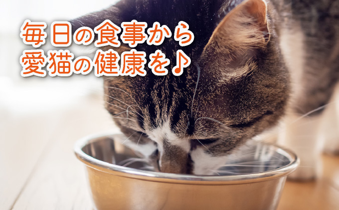 フルオーガニックキャットフード＆おやつ3袋 / お試しセット｜ペットフード キャットフード 猫用 猫 ごはん 天然素材 小麦粉不使用 グルテンフリー ビタミン 安心 安全 保存料無添加 フルオーガニック オーガニック[017-a010_A]