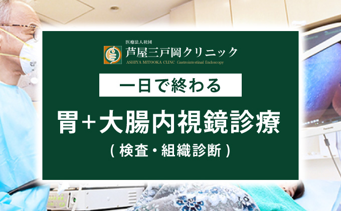 1日で終わる 胃・大腸内視鏡診療 (日帰り) 1名様【芦屋三戸岡クリニック】消化器内視鏡専門クリニック 大腸検査 胃検査 内視鏡検査 大腸がん 大腸ポリープ 胃がん 胃潰瘍 などの 早期発見 早期対策 早期治療 健康 カウンセリング [070-a002]