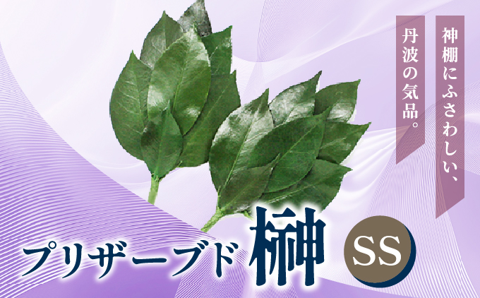 プリザーブド 榊 SSサイズ（1対 2束）【天然 国産 サカキ 神棚 神具 祭壇 玉串 神事 仏壇 仏花 お供え お墓 お盆 お彼岸 新盆 祭 水かえ不要 枯れない プリザーブドフラワー】