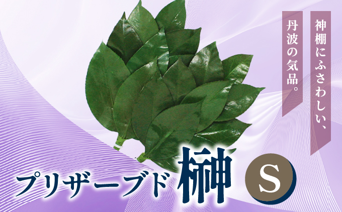 プリザーブド 榊 Sサイズ（1対 2束）【天然 国産 サカキ 神棚 神具 祭壇 玉串 神事 仏壇 仏花 お供え お墓 お盆 お彼岸 新盆 祭 水かえ不要 枯れない プリザーブドフラワー】
