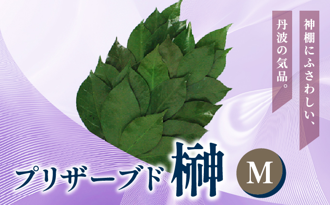 プリザーブド 榊 Mサイズ（1対 2束）【天然 国産 サカキ 神棚 神具 祭壇 玉串 神事 仏壇 仏花 お供え お墓 お盆 お彼岸 新盆 祭 水かえ不要 枯れない プリザーブドフラワー】