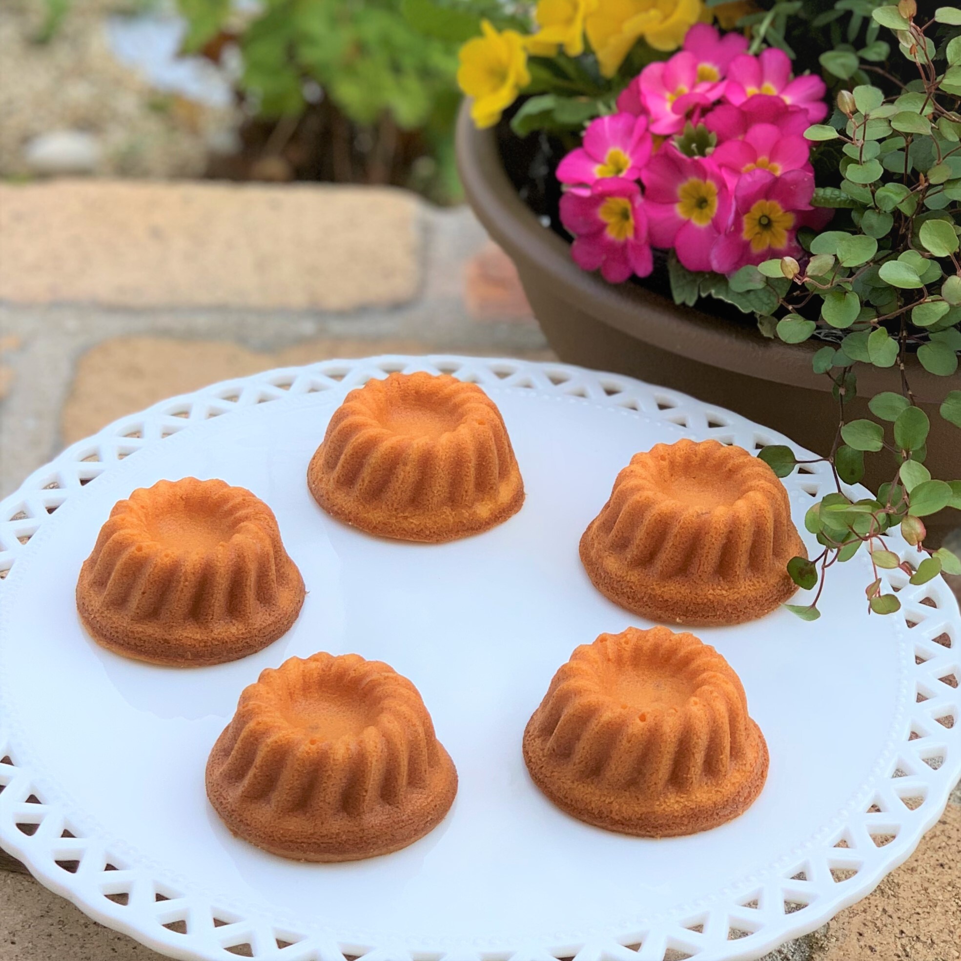 シトロンマドレーヌ（レモンのマドレーヌ）6個入り[010-a006_A]