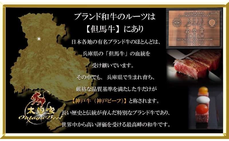 神戸ビーフ ITDS3 不揃いのサイコロステーキ 500g 神戸牛 肩ロース ロース かた もも ステーキ 訳あり サイコロステーキ 牛肉 太田家 肉 冷凍 神戸肉 兵庫県 伊丹市 お肉