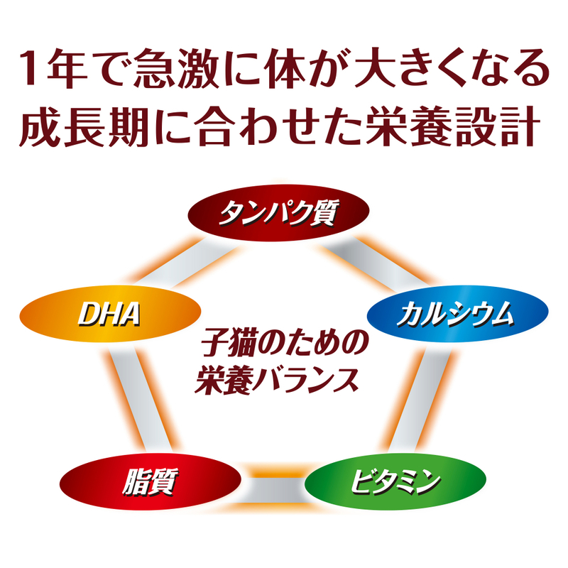 AllWell 健康に育つ子猫用 フィッシュ味 挽き小魚とささみフリーズドライパウダー入り 1.6kg×5袋 ペットフード キャットフード 猫のごはん 猫用フード 猫 ペット ドライ ユニ・チャーム ペット ユニ・ケアー