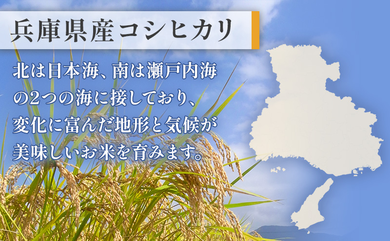 お米 令和7年産 兵庫県産コシヒカリ5kg 5ヶ月定期便 米 お米 新米 こめ コメ 白米 兵庫県 伊丹市