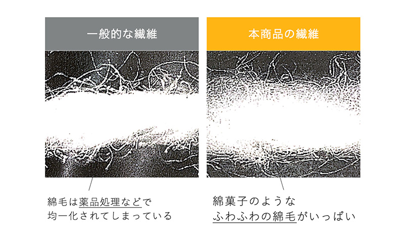 水だけで食器を洗う　洗剤不要　食器用コットンスポンジ